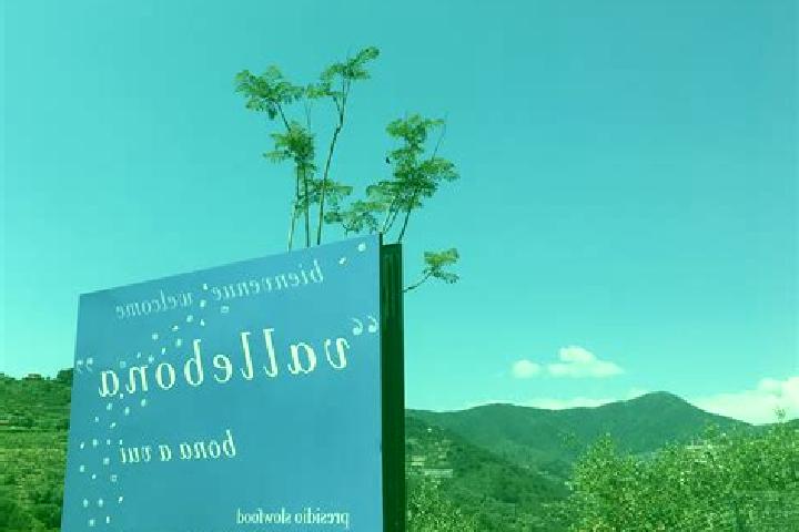 Hazel, 20 — Escort in Vallebona, Italy