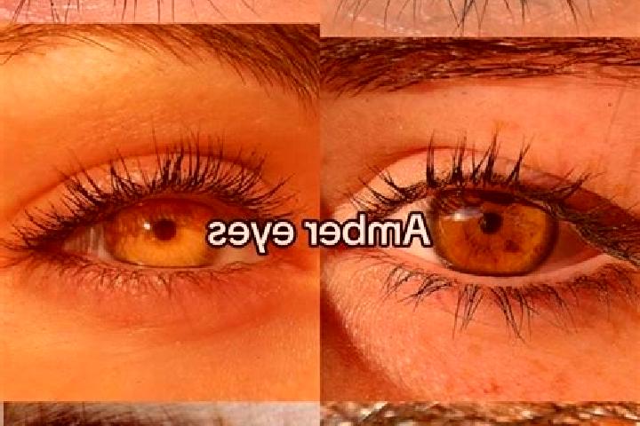 Hazel, 21, a chestnut amber-eyed european companion based in Sennariolo. Offering Couples, Roleplay, Overnight, A-Level, CIM. Available for incall and outcal...