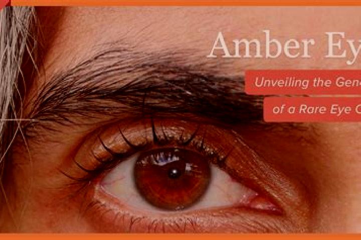 Hazel, 21, a red amber-eyed european companion based in Binalong. Offering Couples, OWO, Erotic Massage. Available for incall and outcall, overnight bookings...