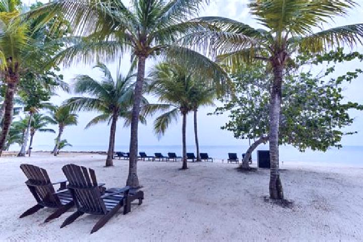 Hazel, 21 — Escort in Los Tambos, Belize