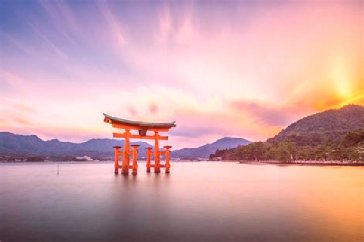 Hazel, 21 — Escort in Miyajima, Japan