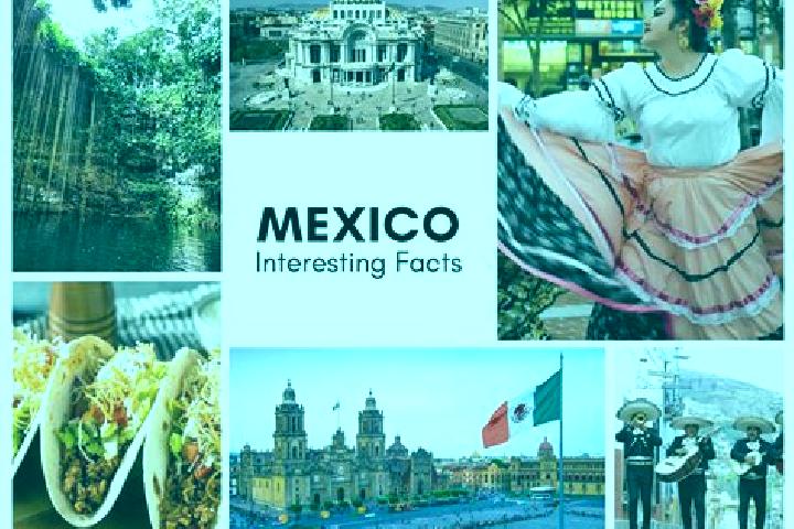 Hazel, 21 — Escort in Sibaca, Mexico