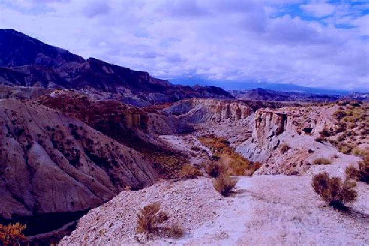 Hazel, 21 — Escort in Tabernas, Spain