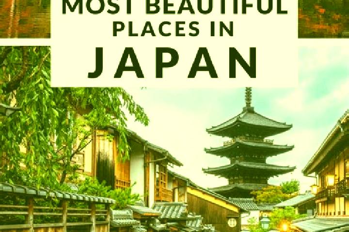 Hazel, 21 — Escort in Toda, Japan