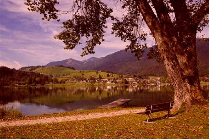 Hazel, 21 — Escort in Vorderthiersee, Austria