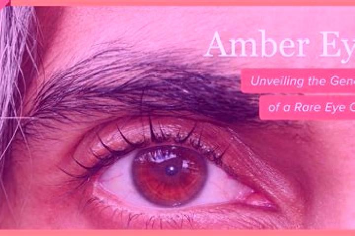Hazel, 22, a red amber-eyed european companion based in Villarta. Offering A-Level, GFE, Deep French Kissing, Overnight. Available for incall and outcall, ov...