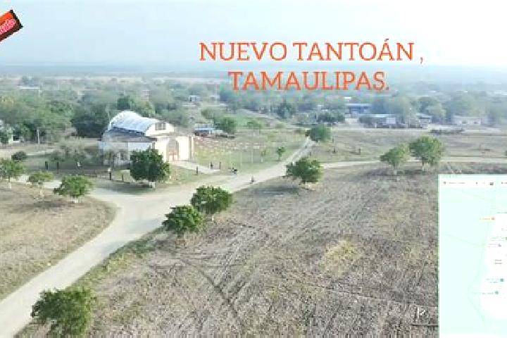 Hazel, 22 — Escort in Nuevo Tantoan, Mexico