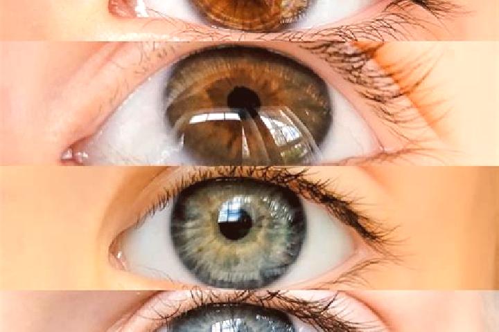 Hazel, 23, a chestnut grey-eyed middle eastern companion based in Qukes-Skenderbe. Offering Travel Companion, Massage. Available for incall and outcall, over...