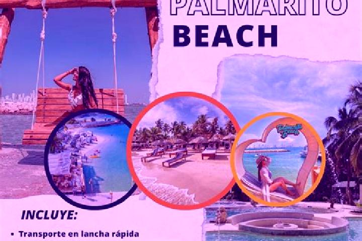 Hazel, 23 — Escort in Palmarito, Panama
