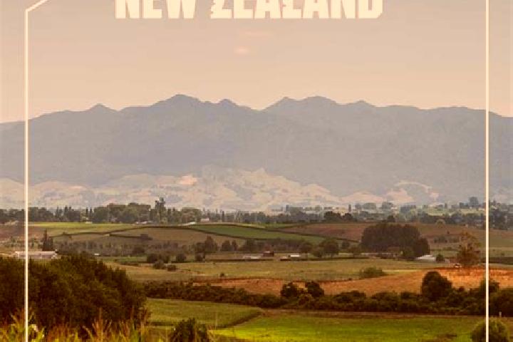 Hazel, 23 — Escort in Pirongia, New Zealand