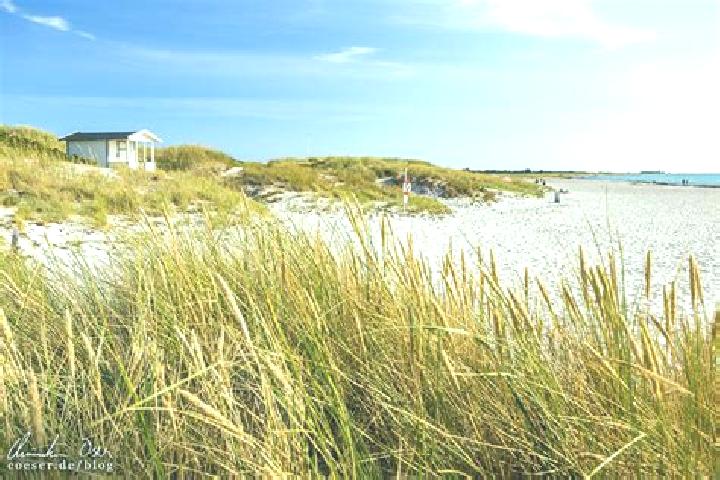 Hazel, 23 — Escort in Skanoer med Falsterbo, Sweden