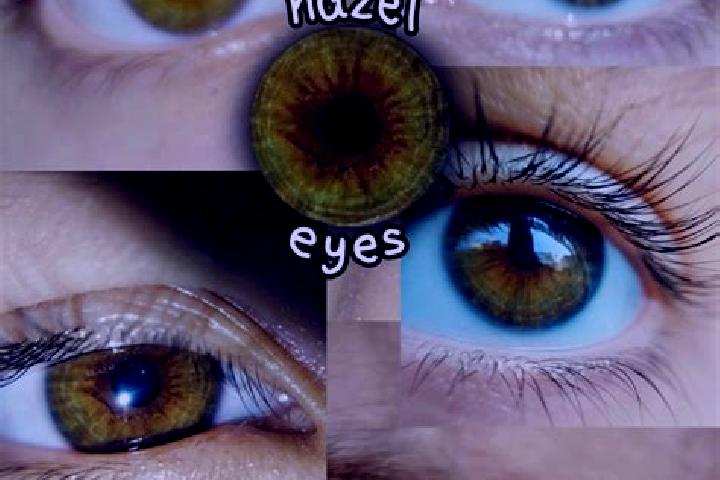 Hazel, 24, a dark blonde hazel-eyed caucasian companion based in Schwallungen. Offering Party Girl, Erotic Massage, Overnight, Travel Companion, Couples. Ava...