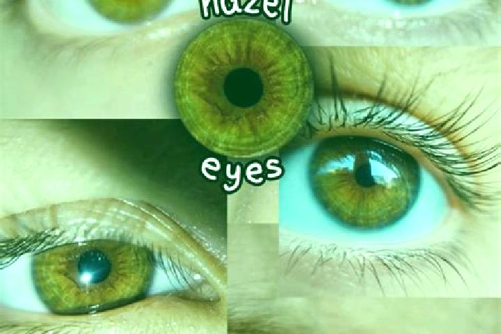 Hazel, 24, a dark blonde hazel-eyed ebony companion based in Gbeibly. Offering Fetish, A-Level, Couples. Available for incall and outcall, day and evening da...