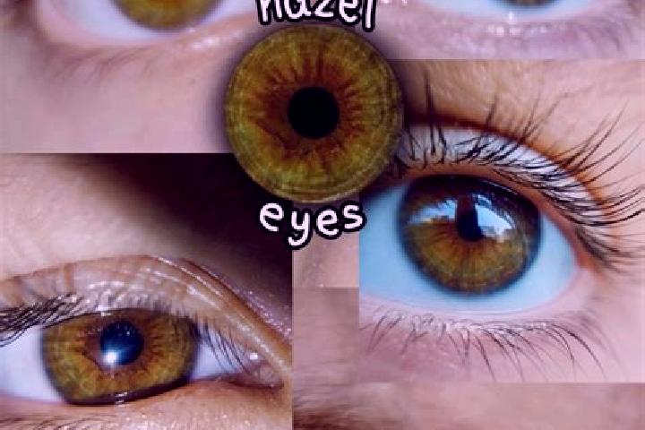 Hazel, 24, a red hazel-eyed asian companion based in Mancos. Offering CIM, GFE, A-Level, Massage. Available for incall and outcall, overnight bookings availa...