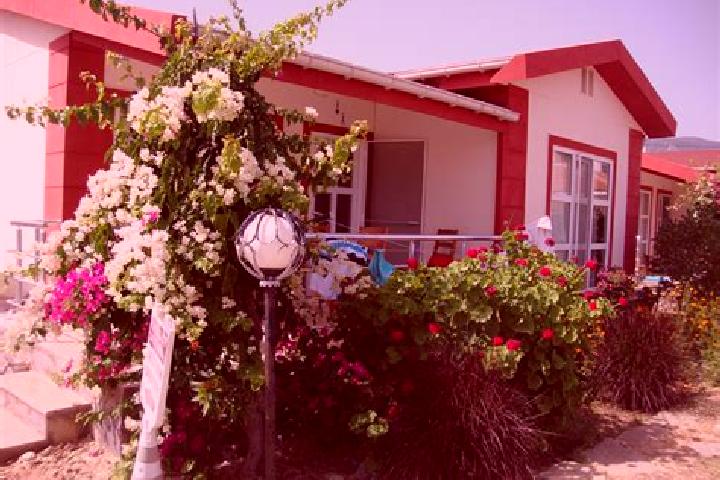 Hazel, 24 — Escort in Bozalan, Turkey