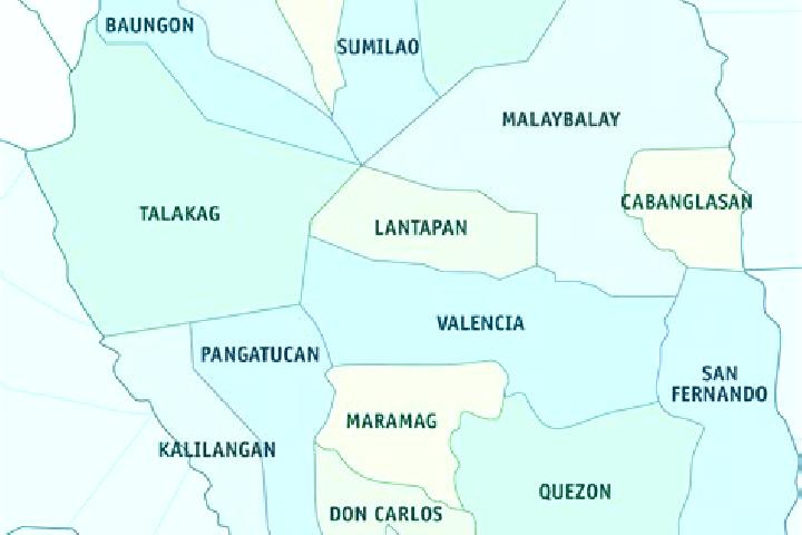 Hazel, 24 — Escort in Damilag, Philippines
