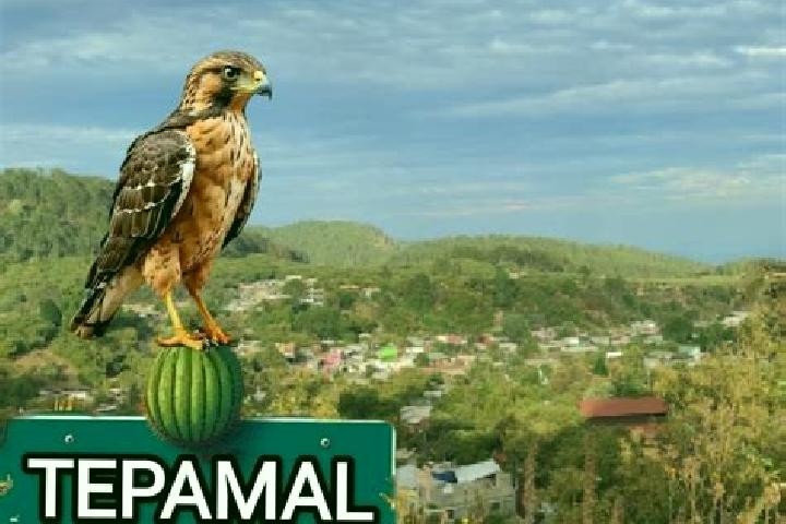 Hazel, 24 — Escort in El Tepamal, Mexico