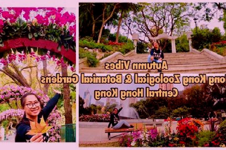 Hazel, 24 — Escort in Healthy Gardens, Hong Kong