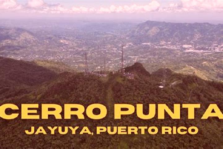 Hazel, 24 — Escort in Jayuya, Puerto Rico