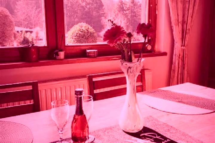 Hazel, 24 — Escort in Koenigstetten, Austria