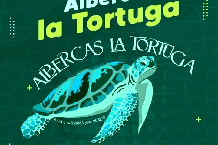Hazel, 24 — Escort in La Tortuga, Mexico