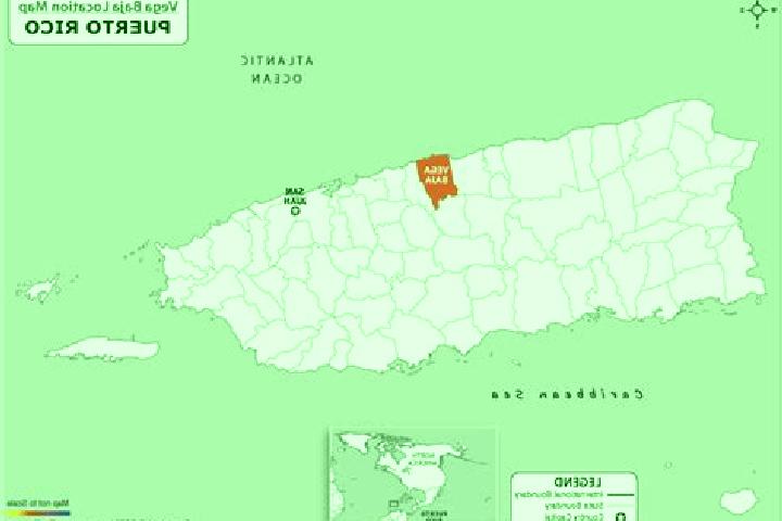 Hazel, 24 — Escort in Toa Baja, Puerto Rico
