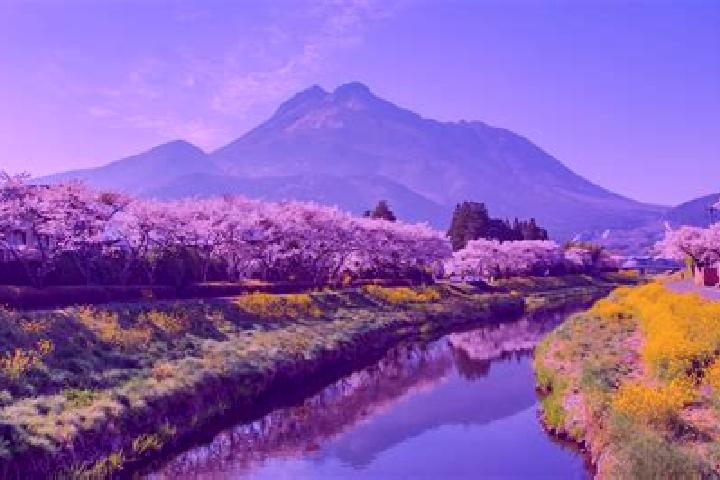Hazel, 24 — Escort in Yufu, Japan