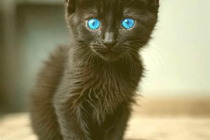Hazel, 25, a black blue-eyed mediterranean companion based in Ponda. Offering OWO, 69, Domination. Available for incall and outcall, day and evening dates.