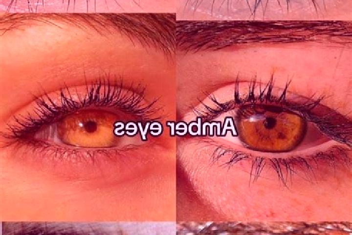 Hazel, 25, a chestnut amber-eyed mixed companion based in Estrela do Norte. Offering Fetish, Tantra, Overnight, Domination, Dinner Date. Available for incall...