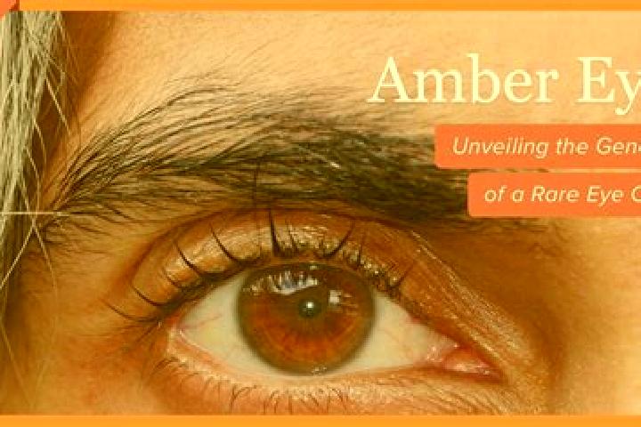 Hazel, 25, a red amber-eyed middle eastern companion based in Neive-Borgonovo. Offering Travel Companion, Fetish, OWO. Available for incall and outcall, day ...