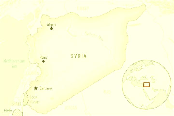 Hazel, 25 — Escort in Ariha, Syria