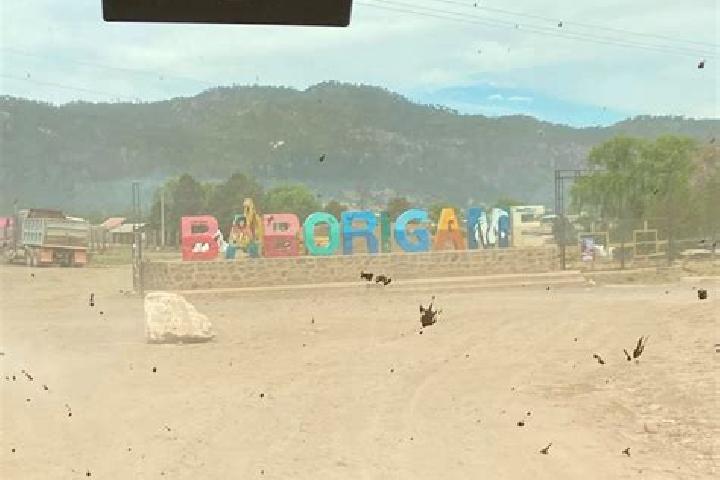 Hazel, 25 — Escort in Baborigame, Mexico