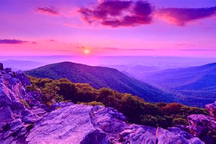 Hazel, 25 — Escort in Mowbray Mountain, United States