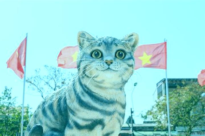 Hazel, 25 — Escort in Na Meo, Vietnam