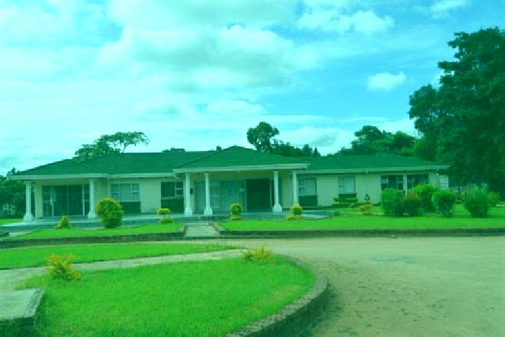 Hazel, 26 — Escort in Kwekwe, Zimbabwe