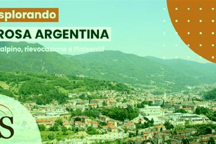 Hazel, 26 — Escort in Perosa Argentina, Italy