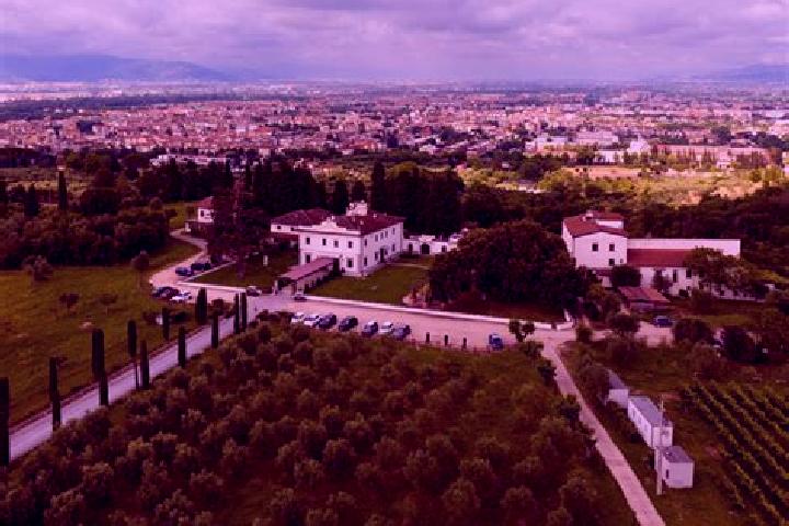 Hazel, 26 — Escort in Sticciano Scalo, Italy