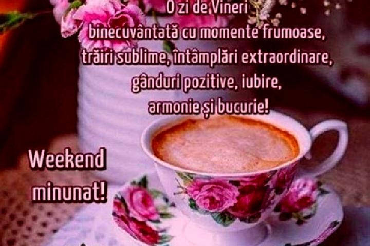 Hazel, 26 — Escort in Vinerea, Romania