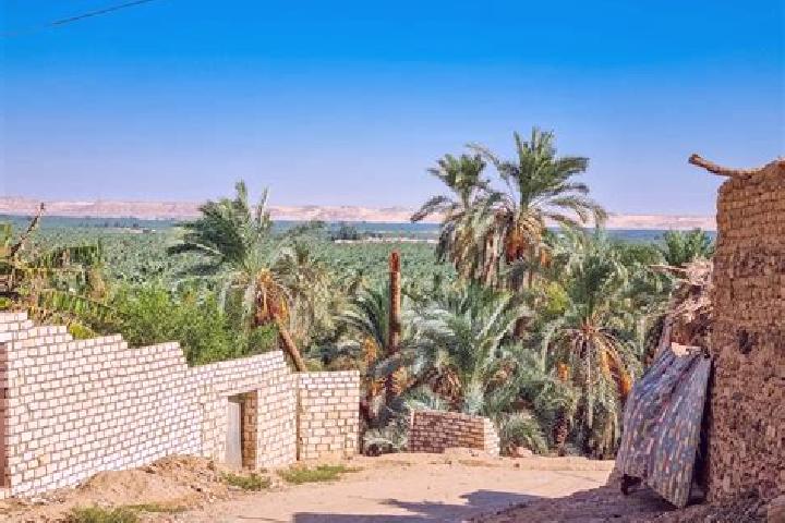 Hazel, 27 — Escort in Al Bawiti, Egypt