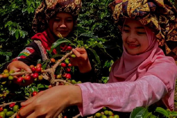 Hazel, 27 — Escort in Bean, Indonesia