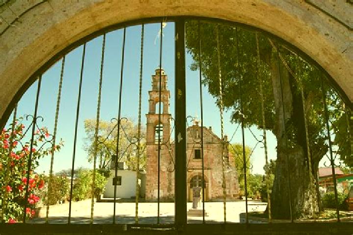Hazel, 27 — Escort in Tecoac (Santa Maria Nativitas), Mexico