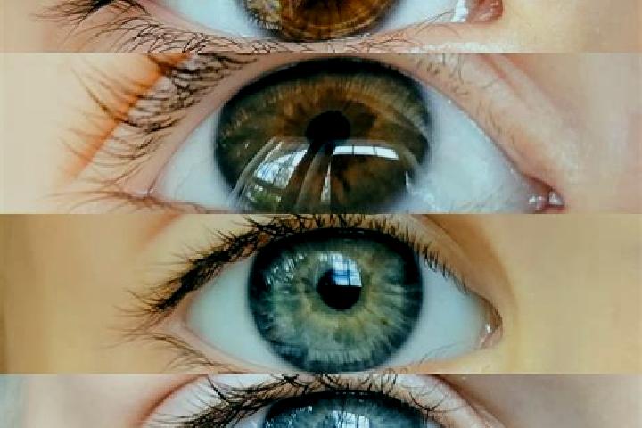 Hazel, 28, a chestnut grey-eyed mixed companion based in Miagliano. Offering A-Level, Domination, Couples. Available for incall and outcall, overnight bookin...