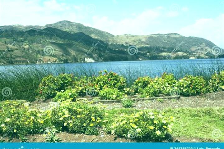 Hazel, 28 — Escort in Abancay, Peru