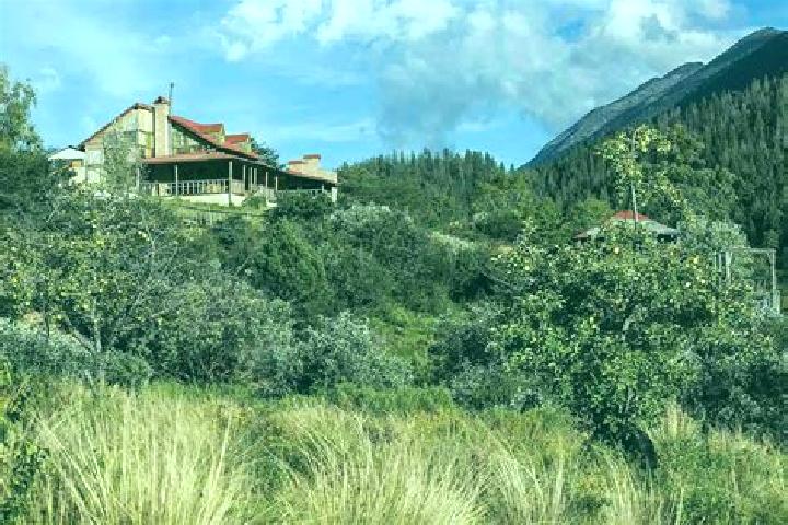 Hazel, 28 — Escort in Cerro del Carbon, Mexico