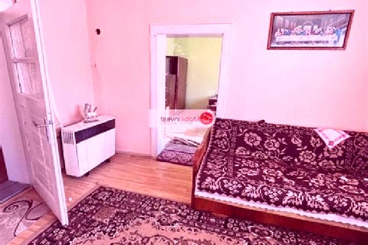 Hazel, 28 — Escort in Craciunelu de Jos, Romania