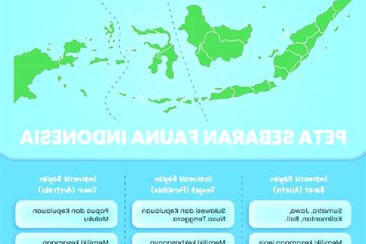 Hazel, 28 — Escort in Glugur Tengah, Indonesia