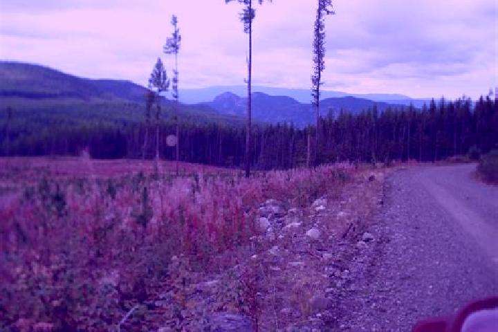 Hazel, 28 — Escort in Lumby, Canada