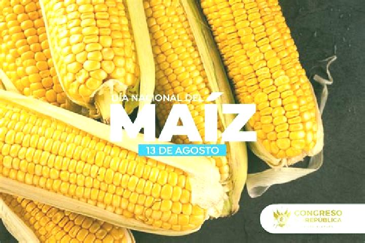 Hazel, 28 — Escort in Monte Maiz, Argentina