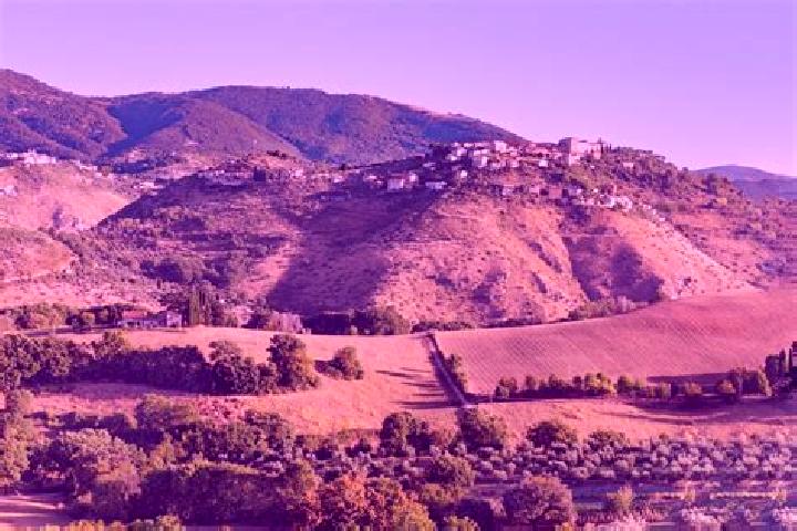 Hazel, 28 — Escort in Monte San Giovanni in Sabina, Italy