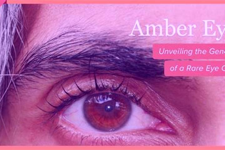 Hazel, 29, a red amber-eyed middle eastern companion based in Monte Caminetto. Offering Party Girl, 69, BDSM, Massage. Available for incall and outcall, day ...